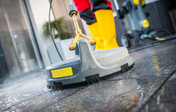 Best Roof Pressure Washing  in Portage, IN